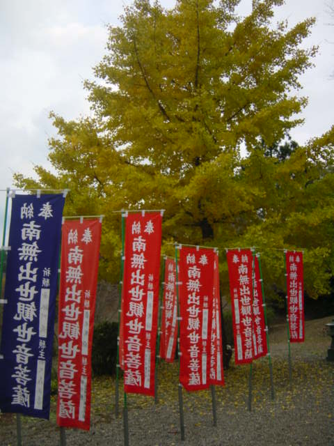Dsc02487